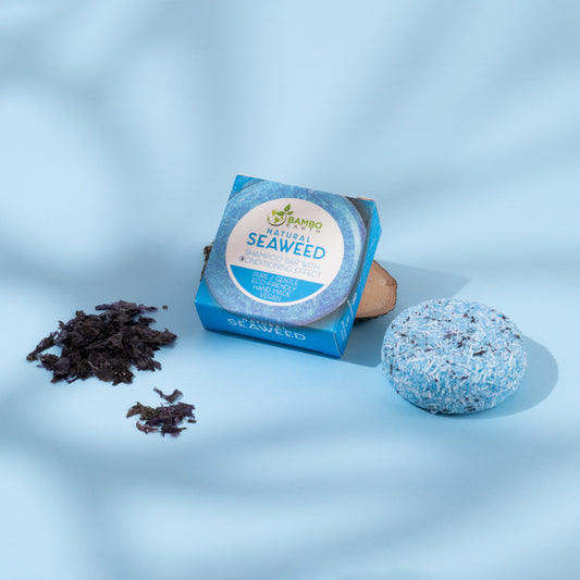 Shampoo Bar Mini Seaweed